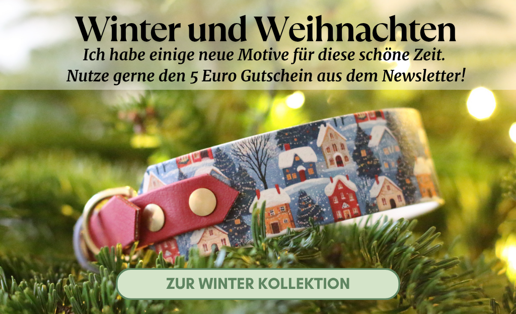 Biothane Halsband und Leine mit Motiv für Weihnachten und Winter Biothane Halsband und Leine mit Motiv für Weihnachten und Winter