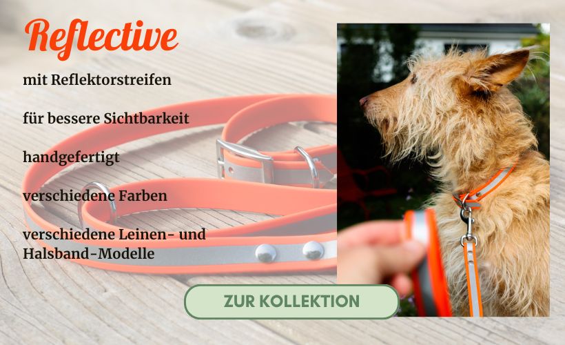 Biothane Hundehalsband und Leine reflektierend Biothane Hundehalsband und Leine reflektierend